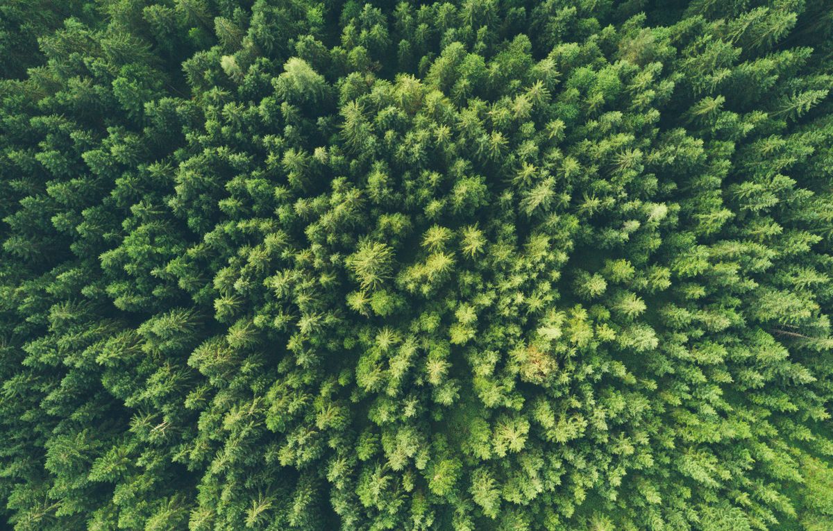 Environmental Product Declaration (EPD)