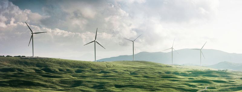 Innovation and Sustainability