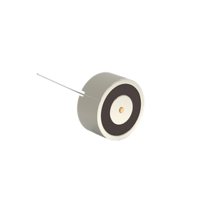 DHIS Electromagnetic Lock surface mounted 600N 24V Small