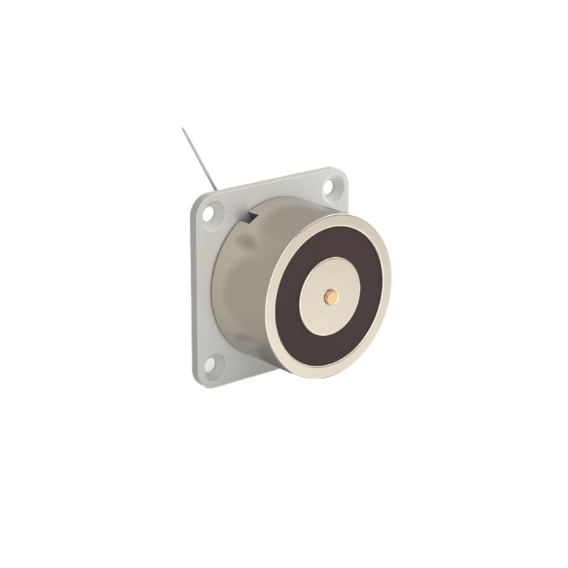 DHIMFX Electromagnetic Lock surface mounted 600N 24V DC Inox